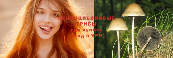 шишки Алексин