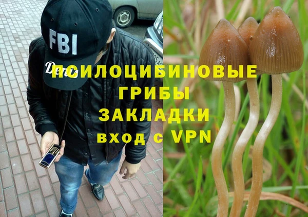 трава Алзамай