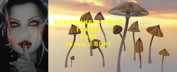 шишки Алексин