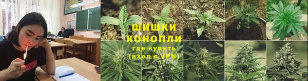 трава Алзамай