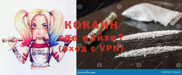 шишки Алексин