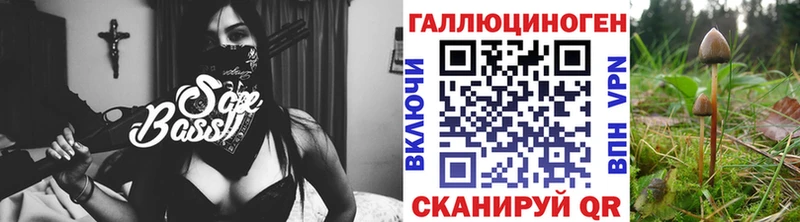 Псилоцибиновые грибы Psilocybine cubensis  Туймазы 