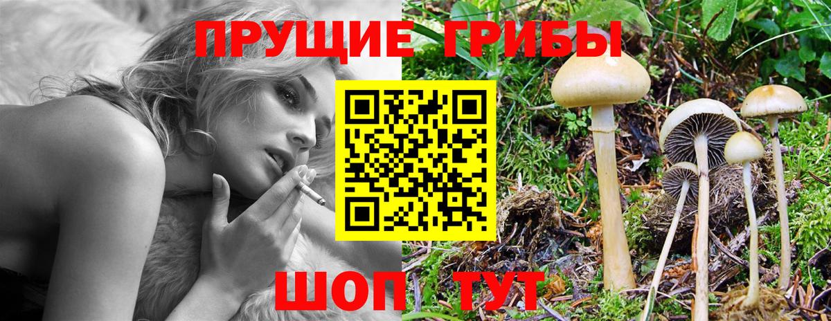 Туймазы  Псилоцибиновые грибы Psilocybe  Галлюциногенные грибы Magic Shrooms  Вход с VPN 