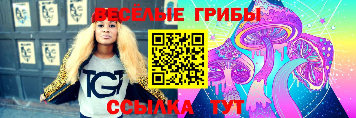 Псилоцибиновые грибы ЛСД Туймазы